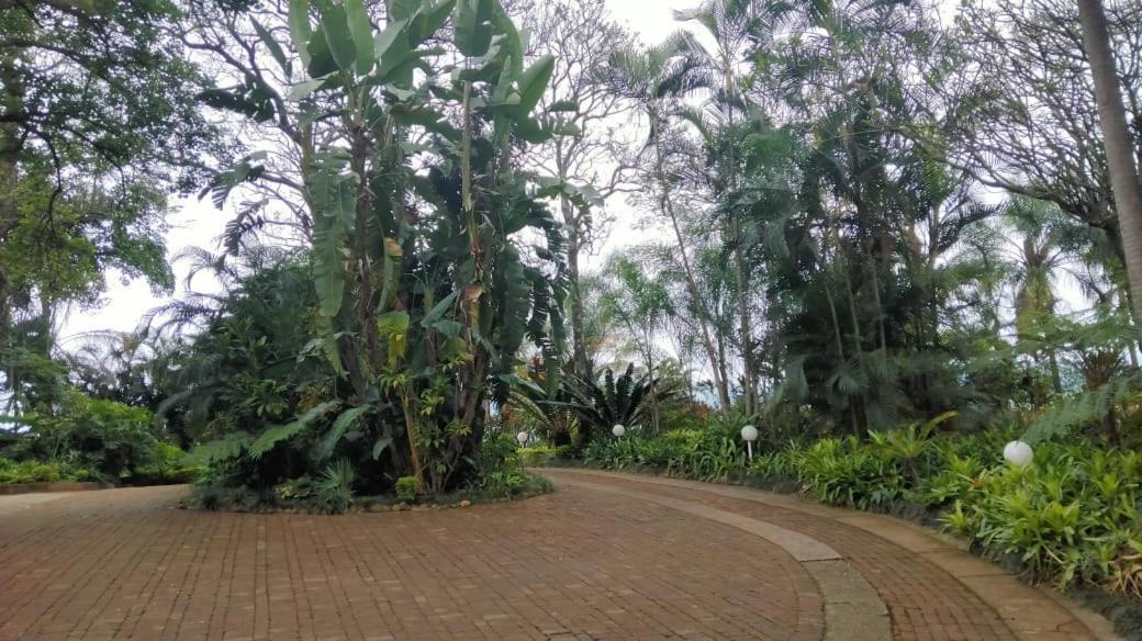 St George'S Guest House Tzaneen Quarto foto